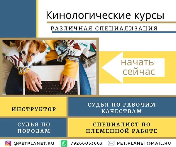 Кинологические курсы — различная специализация